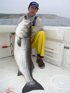 Capt Andy - Striped Bass